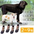 画像6: 【ポイント10倍で会員様はお得】 犬用 ソックス 靴下 靴 シューズ フローリング 滑り止め 肉球 肉球保護【2〜7号】1セット4足 足先全体にゴムコーティングをしたソックス+シューズ※在庫限り (6)