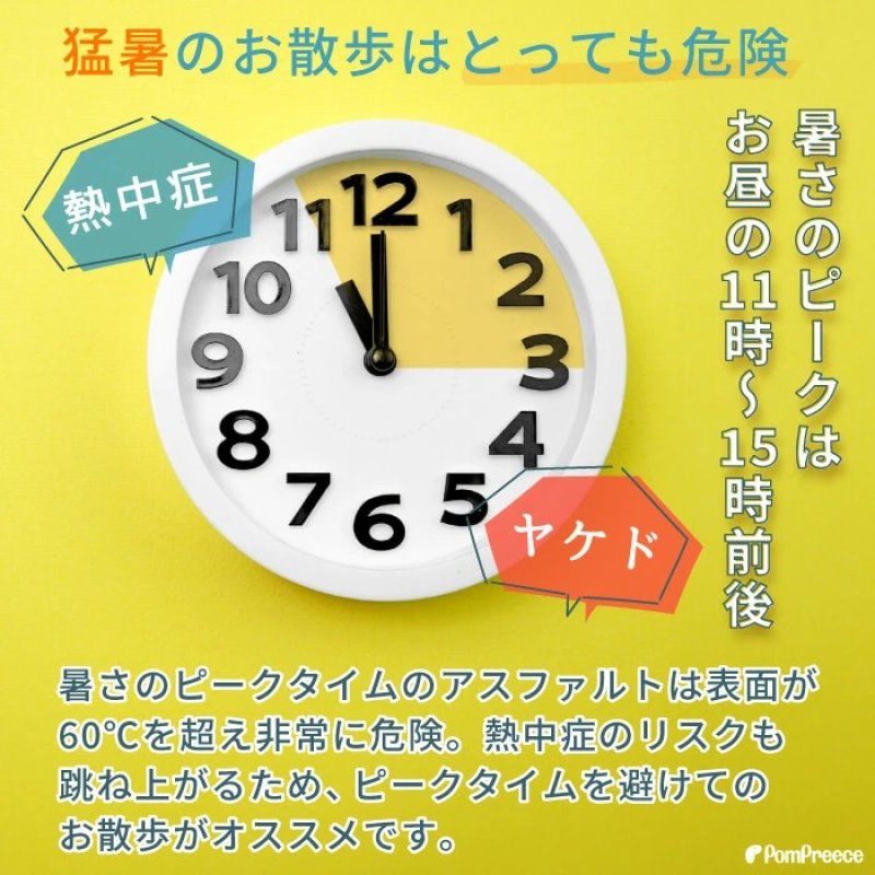 画像3: 【ポイント10倍で会員様はお得】 犬猫キャリーバッグ 全面メッシュ通気性抜群！ラウンドバッグ エアーメッシュ  ペット用品 犬 猫 バッグ メッシュ 通気性抜群 キャリーバッグ リング 飛び出し防止【S〜L】 (3)