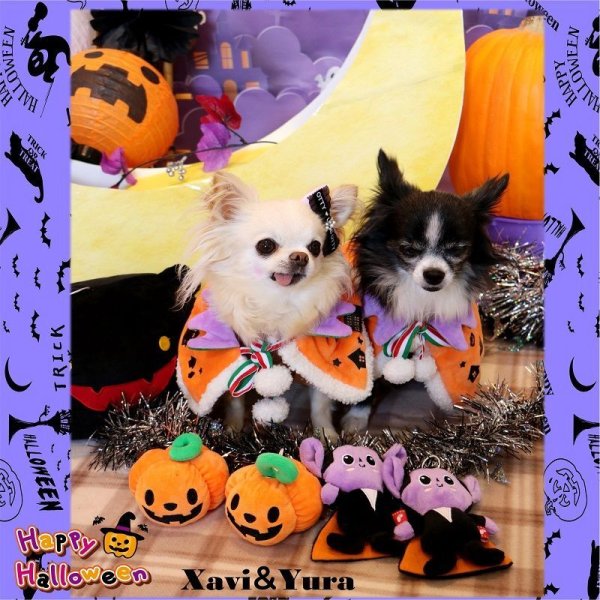 画像22: 【ポイント10倍で会員様はお得】 NEW リバーシブルケープ ハロウィン＆X’mas 【S・M・LL・4L】 (22)