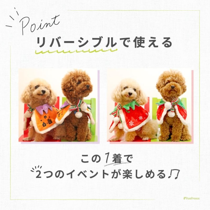 画像6: 犬猫兼用 リバーシブルケープ ハロウィン＆X’mas 【LL・4Lのみ】 (6)