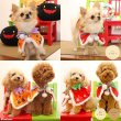 画像19: 【ポイント10倍で会員様はお得】 NEW リバーシブルケープ ハロウィン＆X’mas 【S・M・LL・4L】 (19)