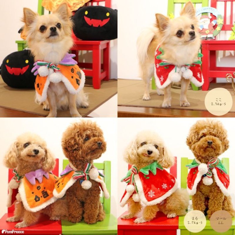 画像19: 犬猫兼用 リバーシブルケープ ハロウィン＆X’mas 【LL・4Lのみ】 (19)