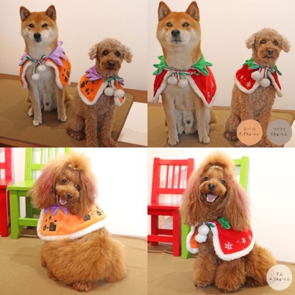 画像20: 【ポイント10倍で会員様はお得】 NEW リバーシブルケープ ハロウィン＆X’mas 【S・M・LL・4L】 (20)