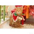 画像11: 【ポイント10倍で会員様はお得】 NEW リバーシブルケープ ハロウィン＆X’mas 【S・M・LL・4L】 (11)