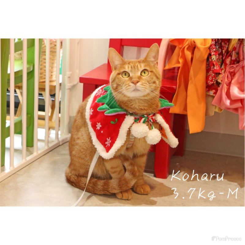 画像11: 犬猫兼用 リバーシブルケープ ハロウィン＆X’mas 【LL・4Lのみ】 (11)