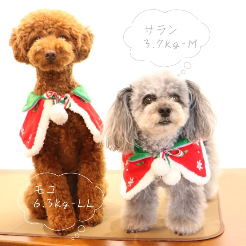 画像10: 犬猫兼用 リバーシブルケープ ハロウィン＆X’mas 【LL・4Lのみ】 (10)