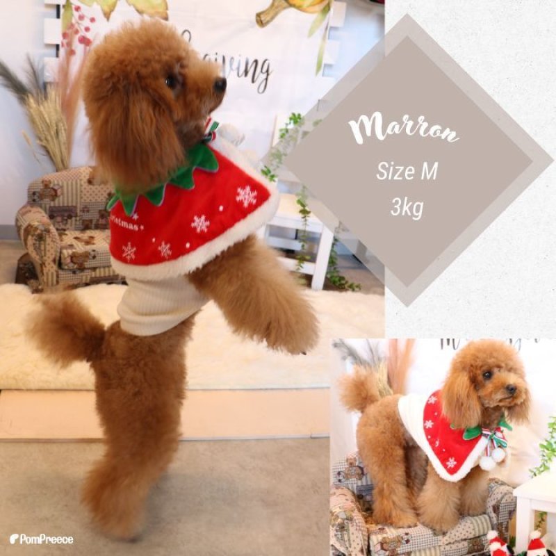 画像7: 犬猫兼用 リバーシブルケープ ハロウィン＆X’mas 【LL・4Lのみ】 (7)