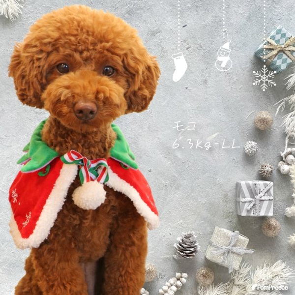 画像9: 【ポイント10倍で会員様はお得】 NEW リバーシブルケープ ハロウィン＆X’mas 【S・M・LL・4L】 (9)