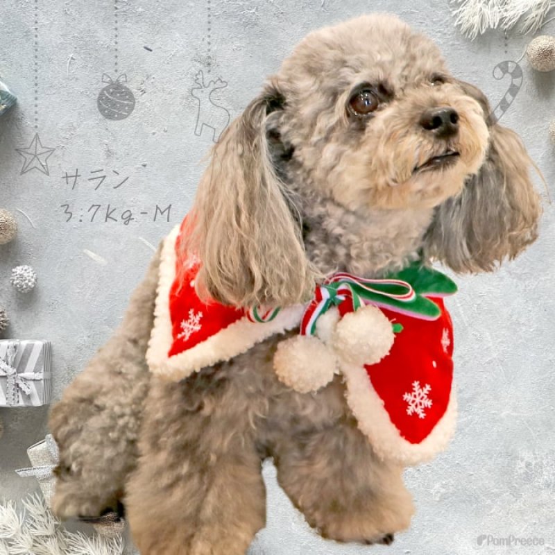 画像8: 犬猫兼用 リバーシブルケープ ハロウィン＆X’mas 【LL・4Lのみ】 (8)