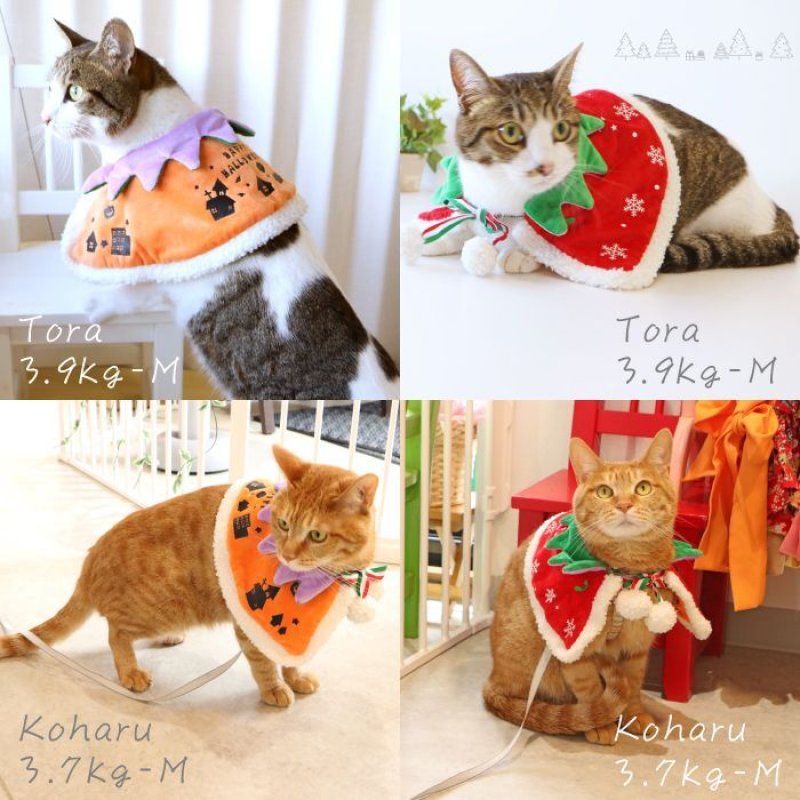 画像21: 犬猫兼用 リバーシブルケープ ハロウィン＆X’mas 【LL・4Lのみ】 (21)