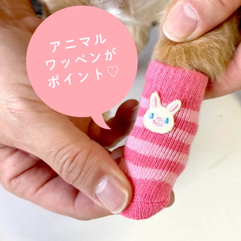 画像5: 【ポイント10倍で会員様はお得】 犬用ソックス ボーダーアニマル【SS〜LL】フローリングでの滑り止め 肉球の保護 傷なめ防止 介護用 包帯替わりに (5)