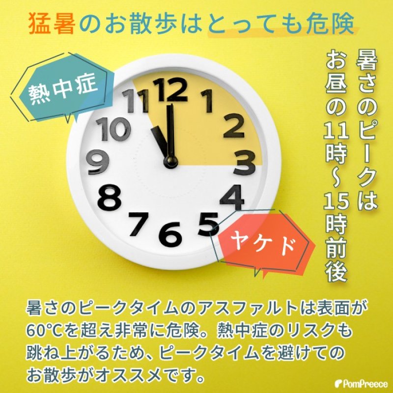 画像3: 【在庫処分セール品】 犬用 サンダル シューズソフトドット 【5号のみ】※返品交換不可 (3)