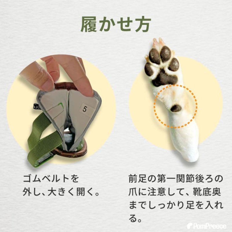 画像13: 【在庫処分セール品】 犬用 サンダル シューズソフトドット 【5号のみ】※返品交換不可 (13)