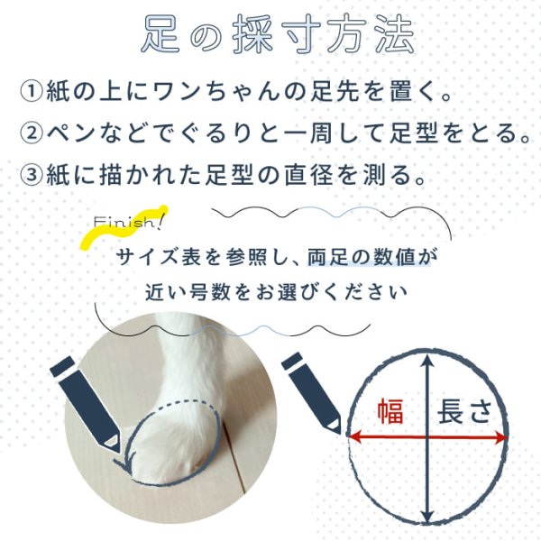 画像14: 【ポイント10倍で会員様はお得】 サンダル シューズソフトドット 【2〜5号】※在庫限り (14)