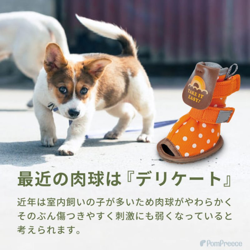 画像5: 【在庫処分セール品】 犬用 サンダル シューズソフトドット 【5号のみ】※返品交換不可 (5)