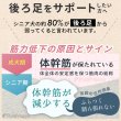 画像4: 【ポイント10倍で会員様はお得】  介護用ハーネス サポートドーナツリング プチドット 【S・M・L・LL・3L】 (4)