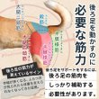 画像5: 【ポイント10倍で会員様はお得】  介護用ハーネス サポートドーナツリング プチドット 【S・M・L・LL・3L】 (5)