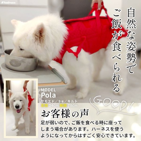 画像22: 【在庫処分セール品】大型犬用オス・メス兼用 メッシュor キルト生地 3WAYケアハーネス 【7〜10号】※返品交換不可 (22)