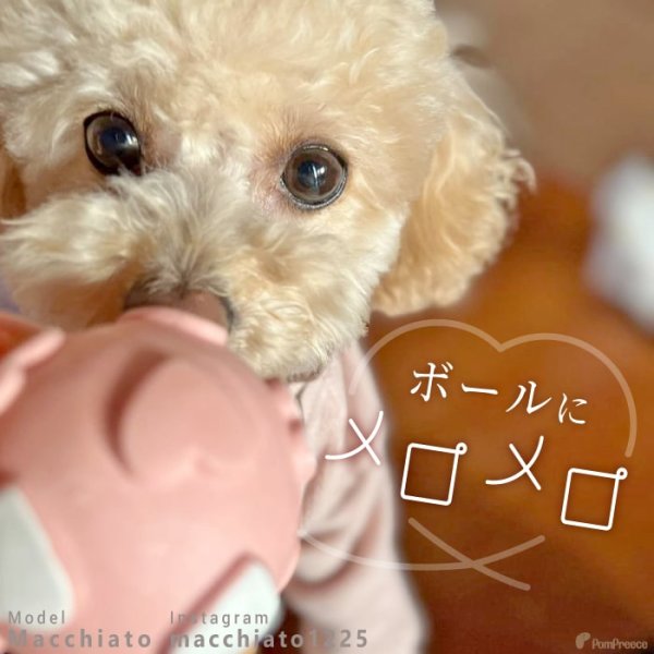 画像9: 【ポイント10倍で会員様はお得】 ラテックスTOY ラブボール 【Sサイズ】 (9)