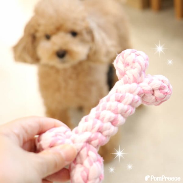 画像6: 【ポイント10倍で会員様はお得】 デンタルロープTOY ロープボーン (6)