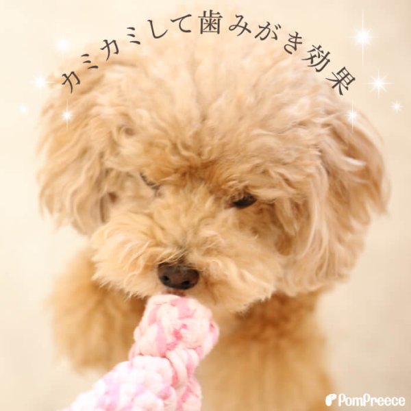 画像8: 【ポイント10倍で会員様はお得】 デンタルロープTOY ロープボーン (8)