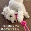 画像2: 【ポイント10倍で会員様はお得】 デンタルロープTOY 持ち手付きロープダンベル (2)