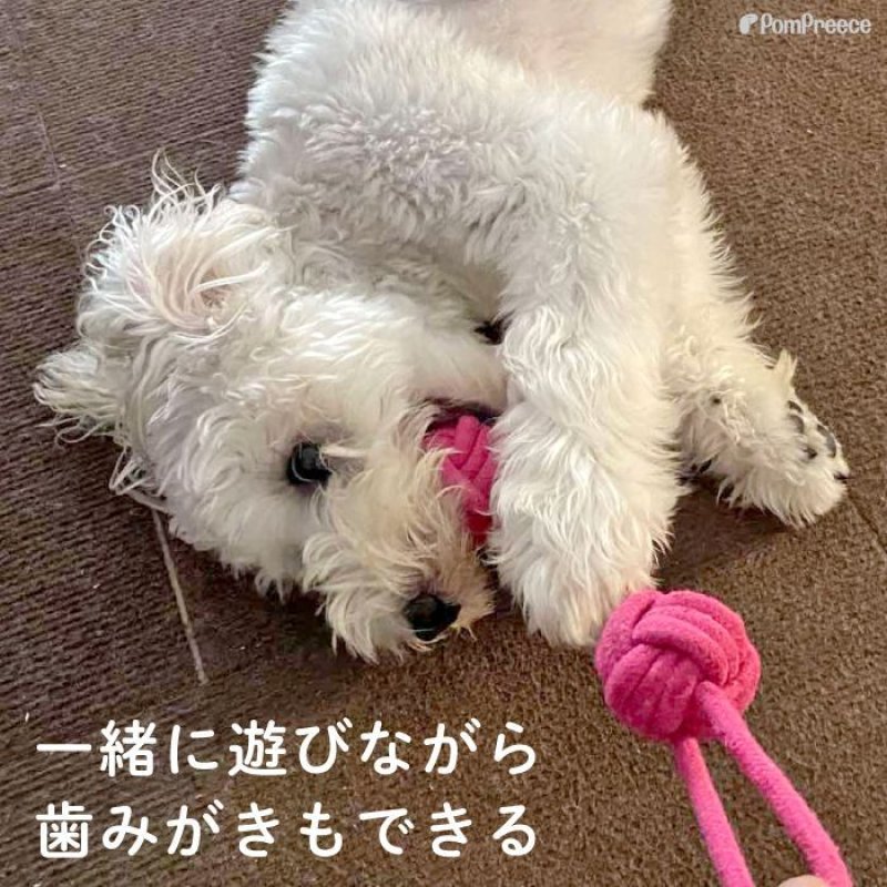 画像2: デンタルロープTOY ロープダンベル (2)