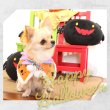 画像3: 【最終処分 価格】  ディスプレイ用 ハロウィンデビル※返品交換不可 (3)