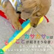 画像3: 【ポイント10倍で会員様はお得】 デンタルネットTOY Pe Pe カサカサスネーク (3)