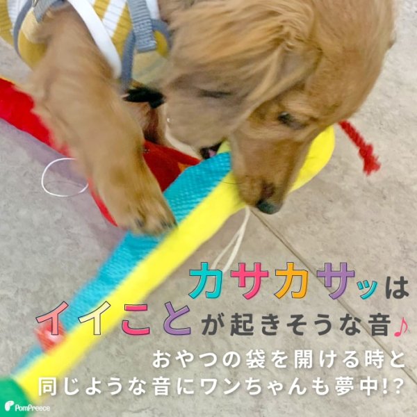 画像3: 【ポイント10倍で会員様はお得】 デンタルネットTOY Pe Pe カサカサスネーク (3)