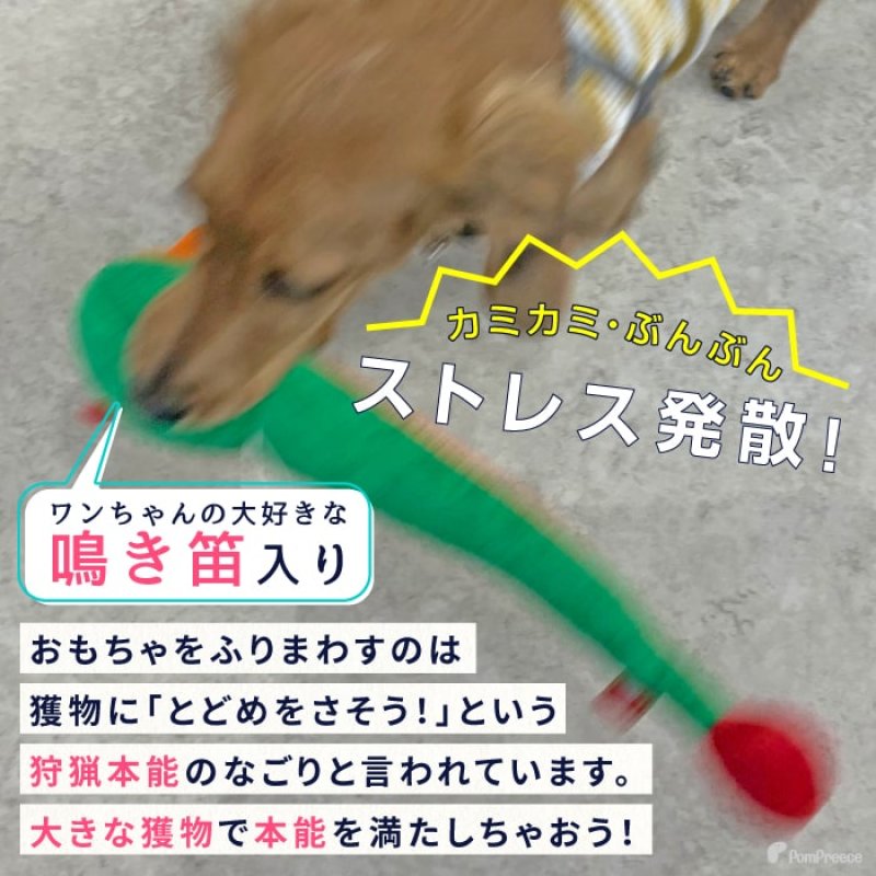 画像5:  デンタルネットTOY PeePee KASAKASA カサカサスネーク ※レッドのみ (5)