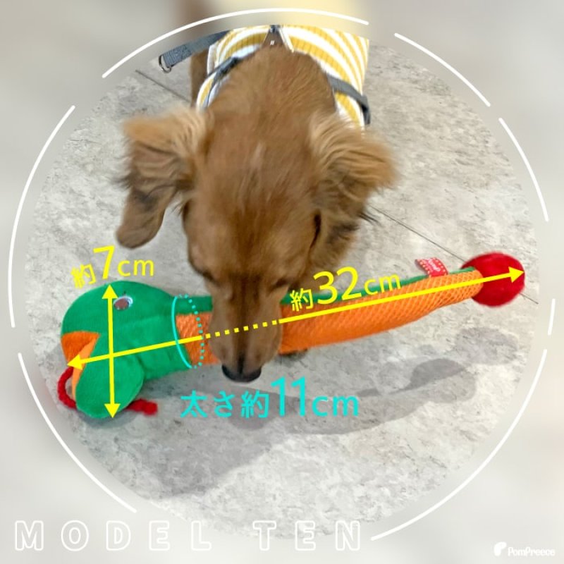 画像10:  デンタルネットTOY PeePee KASAKASA カサカサスネーク ※レッドのみ (10)