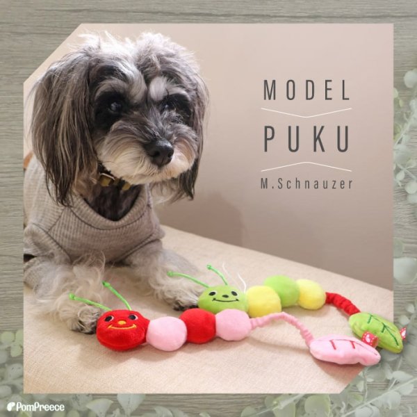 画像3: 【ポイント10倍で会員様はお得】 PeePeeTOY リーフいもむしくん (3)