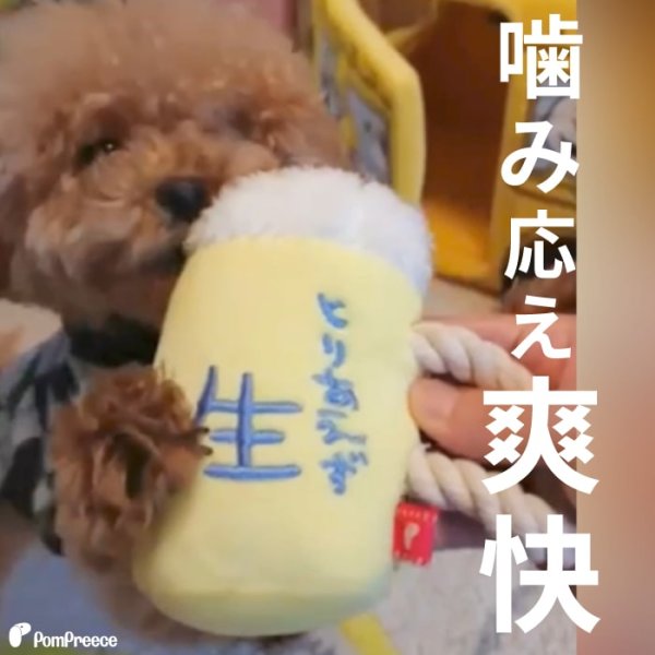 画像12: 【ポイント10倍で会員様はお得】 デンタルロープTOY 生ビール (12)