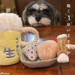 画像18: 【ポイント10倍で会員様はお得】 デンタルロープTOY 生ビール (18)