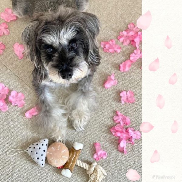 画像3: 【ポイント10倍で会員様はお得】おでん  犬・猫兼用 デンタルロープTOY (3)