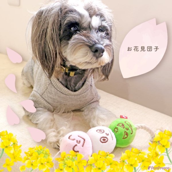 画像6: 【ポイント10倍で会員様はお得】お団子 3色だんご犬・猫兼用 デンタルロープTOY (6)