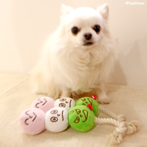 画像11: 【ポイント10倍で会員様はお得】お団子 3色だんご犬・猫兼用 デンタルロープTOY (11)