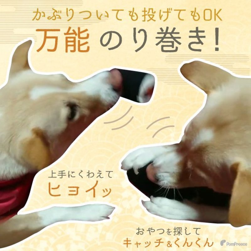 画像10:  知育TOY PeePee のりまき (10)