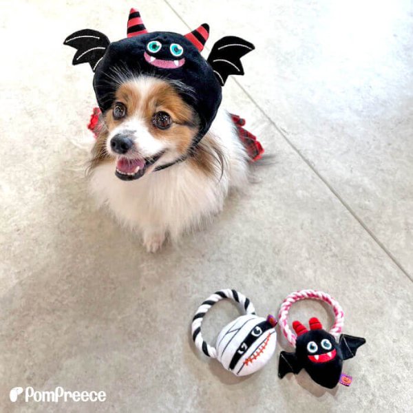 画像2: 【ポイント10倍で会員様はお得】 デンタルロープTOY ハロウィンパレード (2)