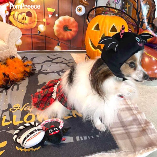 画像3: 【ポイント10倍で会員様はお得】 デンタルロープTOY ハロウィンパレード (3)