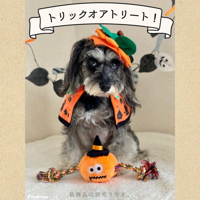 画像6: デンタルロープTOY PeePee パンプキン＆デビル ※オレンジのみ (6)