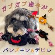 画像1: 【ポイント10倍で会員様はお得】 デンタルロープTOY パンプキン＆デビル (1)