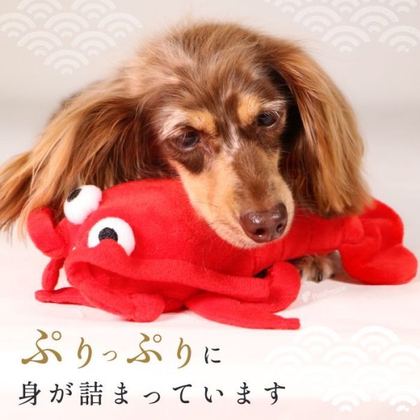 画像4: 【ポイント10倍で会員様はお得】 PeePeeディスプレイTOY 伊勢エビ (4)