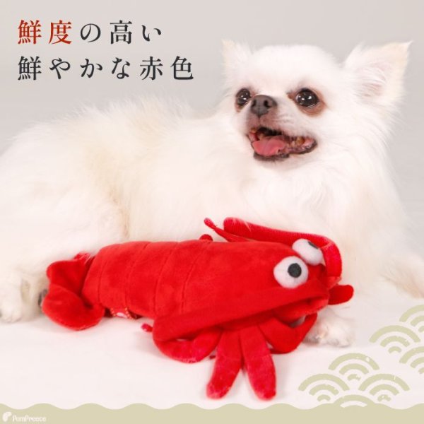 画像6: 【ポイント10倍で会員様はお得】 PeePeeディスプレイTOY 伊勢エビ (6)