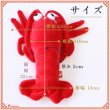 画像8: 【ポイント10倍で会員様はお得】 PeePeeディスプレイTOY 伊勢エビ (8)