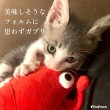 画像3: 【ポイント10倍で会員様はお得】 PeePeeディスプレイTOY 伊勢エビ (3)