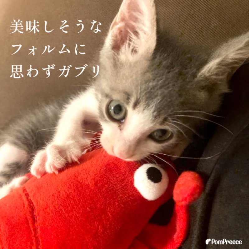 画像3: PeePeeTOY 伊勢エビ (3)