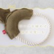 画像5: 【ポイント10倍で会員様はお得】ハードデンタルロープTOY ジャンボフィッシュ (5)