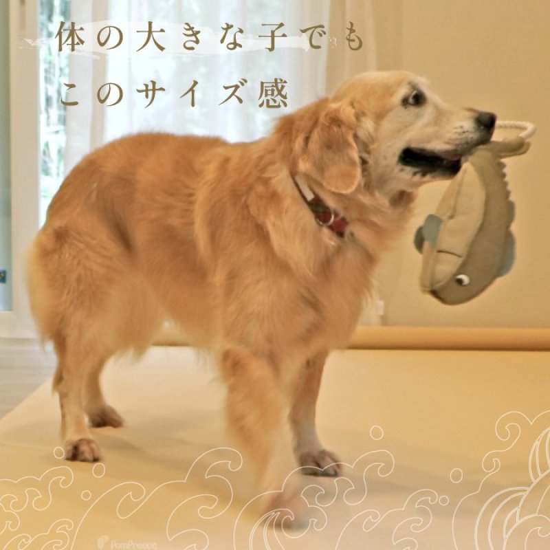 画像8: デンタルロープTOY PeePee ジャンボフィッシュ (8)